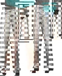 Aluminized Pants: Aluminized Blended Kev